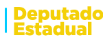 Deputado Estadual